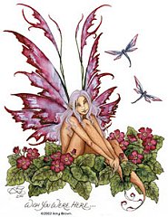 Fairy 5